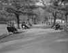 USA  Massachusetts  Boston  People sitting on benches and walking in park Poster Print - Item # VARSAL255423863