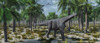 A lone herbivorous Camarasaurus dinosaur roaming during Earth's Jurassic Period of time Poster Print - Item # VARPSTMAS100786P