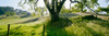 http://c328301.r1.cf1.rackcdn.com/PPI150217S.jpg