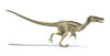Velociraptor dinosaur on white background with drop shadow Poster Print - Item # VARPSTVET600055P