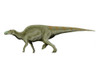 Edmontosaurus dinosaur, white background Poster Print - Item # VARPSTNBT600098P