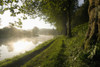 Looking Along The Nantes-Brest Canal On A Misty Morning PosterPrint - Item # VARDPI1880647