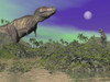 Tyrannosaurus Rex dinosaurs in prehistoric landscape at night Poster Print - Item # VARPSTEDV600051P