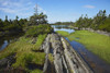Coast East of Lunenburg; Nova Scotia, Canada PosterPrint - Item # VARDPI2429672