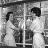 Mother and adult daughter cleaning window Poster Print - Item # VARSAL255420797
