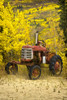 Old Farm Tractor PosterPrint - Item # VARDPI1841192