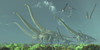 Pteranodon reptiles fly over a herd of Mamenchisaurus dinosaurs in the Cretaceous Era Poster Print - Item # VARPSTCFR200322P