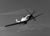 A P-51D Mustang in flight near Chino, California Poster Print - Item # VARPSTSGR100012M