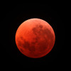 Lunar eclipse taken on April 15, 2014 Poster Print