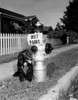 Dog sitting close to hydrant with 'wet paint' sign Poster Print - Item # VARSAL255416211