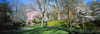 http://c328301.r1.cf1.rackcdn.com/PPI149283S.jpg