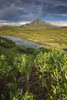 Angelcomb Mountain Lit By Late Afternoon Light Along The Dempster Highway;Yukon Canada PosterPrint - Item # VARDPI2305566