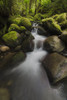 Ruckel Creek; Oregon, United States of America PosterPrint - Item # VARDPI12281497