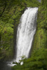 Lower Section Of Multnomah Falls; Oregon, United States of America PosterPrint - Item # VARDPI1965175