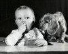 Close-up of a baby boy with a dog Poster Print - Item # VARSAL2559672