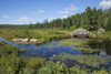 Lake Opeongo, Algonquin Provincial Park; Ontario, Canada PosterPrint - Item # VARDPI2429580