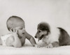 Close-up of a baby with a puppy Poster Print - Item # VARSAL2559166A