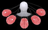 Conceptual image of multi-brain processing Poster Print - Item # VARPSTSTK701187H