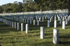 Arlington National Cemetery, Arlington, Virginia, USA Poster Print - Item # VARPSTTMO100825M