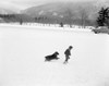 Girl and dog walking through snow Poster Print - Item # VARSAL255424542