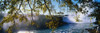 Horseshoe Falls  Niagara Falls  NY Poster Print by Panoramic Images (37 x 12) - Item # PPI75235