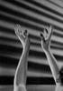Woman's hands  studio shot Poster Print