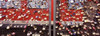 http://c328301.r1.cf1.rackcdn.com/PPI128648S.jpg
