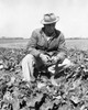 Farmer in a field Poster Print - Item # VARSAL25530261