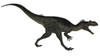 Megalosaurus dinosaur roaring, white background Poster Print