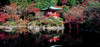 Daigo-ji Temple in autumn, Fushimi-ku, Kyoto City, Kyoto Prefecture, Japan Poster Print - Item # VARPPI167382
