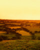 View From Uisneach, Mullingar, Co Westmeath, Ireland PosterPrint - Item # VARDPI1813175