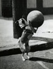 Dog playing with basketball Poster Print - Item # VARSAL25523164