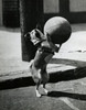 Dog playing with basketball Poster Print - Item # VARSAL25523164