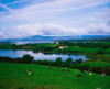 Bantry Bay, Co Cork, Ireland PosterPrint - Item # VARDPI1813478