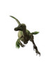Velociraptor, white background Poster Print - Item # VARPSTYPR600023P