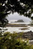 Coastal Scenery, Tofino, British Columbia, Canada PosterPrint - Item # VARDPI1851722