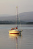 Bantry Bay, County Cork, Ireland PosterPrint - Item # VARDPI1844909