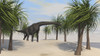 Large Brachiosaurus grazing on trees Poster Print - Item # VARPSTKVA600257P