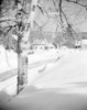 USA  Massachusetts  Rumford  winter Poster Print - Item # VARSAL255422916