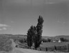 Washington  Ellensburg  rural road among fields Poster Print - Item # VARSAL255423831