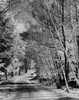 High angle view of a car moving on a road  Jackson  New Hampshire  USA Poster Print - Item # VARSAL25539228