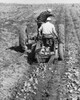 Rear view of two farmers digging potatoes in a field with a tractor Poster Print - Item # VARSAL25530244