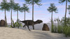 Majungasaurus running along the shore Poster Print