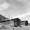 USA  Colorado  Winfield  Cabins in ghost town Poster Print - Item # VARSAL255422467