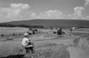 Boy riding tricycle in rural scenery Poster Print - Item # VARSAL255423028