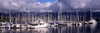 http://c328301.r1.cf1.rackcdn.com/PPI134375S.jpg
