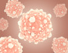 Microscopic view of pancreatic cancer cells Poster Print - Item # VARPSTSTK700803H