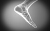 X-ray view of human foot Poster Print - Item # VARPSTSTK700062H