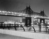 USA  New York State  New York City  Night view of Queensboro Bridge Poster Print - Item # VARSAL255422949