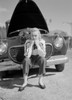 Woman sitting on bumper of broken Poster Print - Item # VARSAL255419765